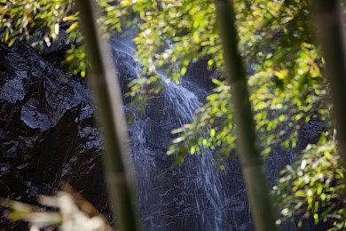 卡牌肉鸽《为了世界的全部的少女》登陆PlayStation主机