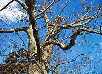 《铁拳7》最终更新并非最终 新升级档明日发布